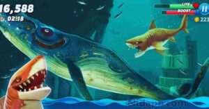 Hungry Shark World Mod Apk 6.3.6 [Unlimited money] 6